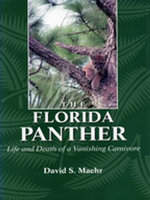 The Florida Panther