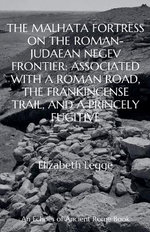 The Malhata Fortress on the Roman-Judaean Negev Frontier