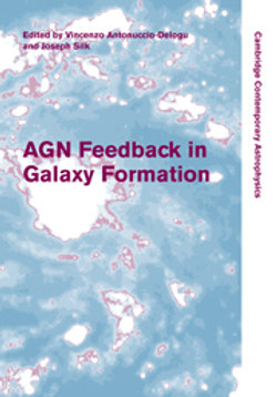 AGN Feedback in Galaxy Formation