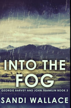 Into the Fog