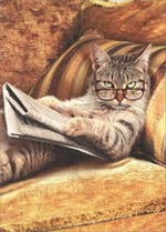 The Funniest News Stories EVER!