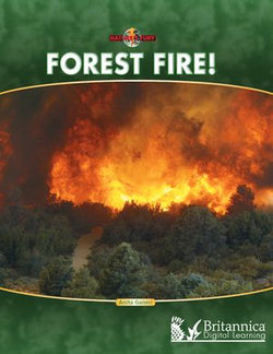 Forest Fire!
