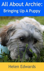 All About Archie: Bringing Up A Puppy