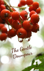 The Gentle Downpour
