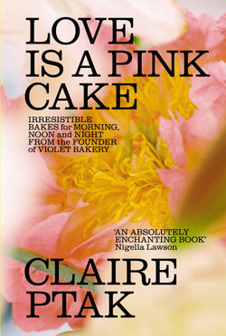 Love Is a Pink Cake