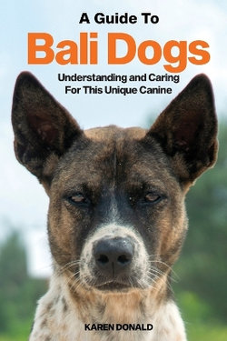 A Guide to Bali Dogs