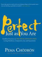 Perfect Just as You Are Perfect Just as You Are