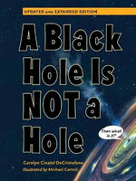 A Black Hole Is Not a Hole