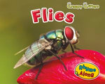 Flies
