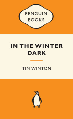 In the Winter Dark