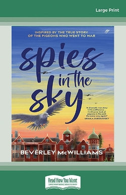 Spies in the Sky Spies in the Sky