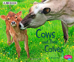 Cows and Their Calves