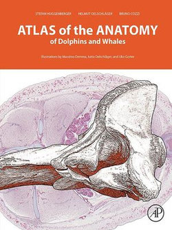 Atlas of the Anatomy of Dolphins and Whales Atlas of the Anatomy of Dolphins and Whales
