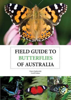 Field Guide to Butterflies of Australia