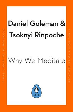 Why We Meditate