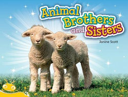 Bug Club Level 6 - Yellow: Animal Brothers and Sisters (Reading Level 6/F&P Level D)