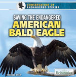 Saving the Endangered American Bald Eagle