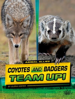 Coyotes and Badgers Team Up! Coyotes and Badgers Team Up!