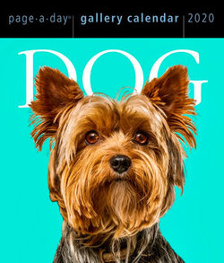 2020 Dog Page-A-Day Gallery Calendar