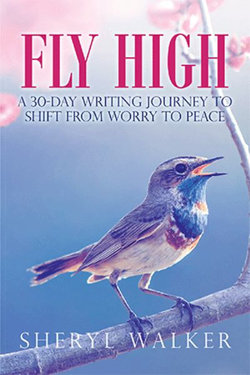 Fly High
