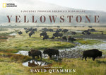 Yellowstone
