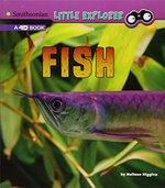 Little Zoologist Fish a 4D Book