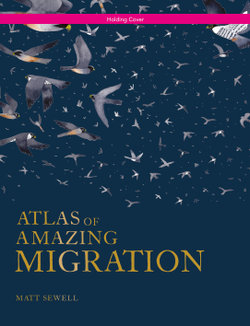 Atlas of Amazing Migrations