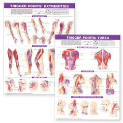 Trigger Point Chart Set