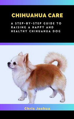 CHIHUAHUA CARE CHIHUAHUA CARE