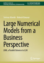 Large Numerical Models from a Business Perspective