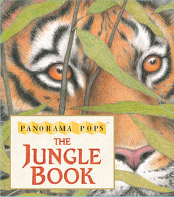 The Jungle Book: Panorama Pops