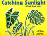 Catching Sunlight