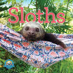 Original Sloths Wall Calendar 2026