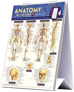 Anatomy & Nutrition for Body & Health Easel Book