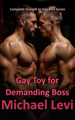 Gay Toy for Demanding Boss: Complete Straight to Gay MM Series
