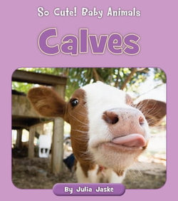 Calves Calves