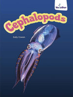 Cephalopods
