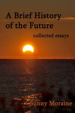 A Brief History of the Future: collected essays