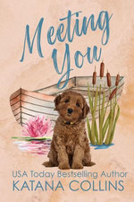 Meeting You