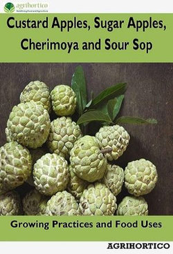 Custard Apples, Sugar Apples, Cherimoya and Sour Sop Custard Apples, Sugar Apples, Cherimoya and Sour Sop