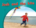 Josh and the kite