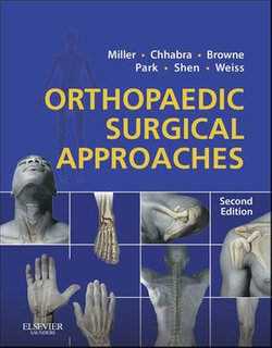 Orthopaedic Surgical Approaches E-Book