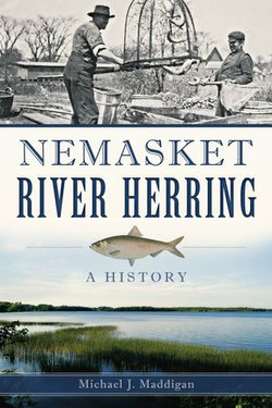 Nemasket River Herring