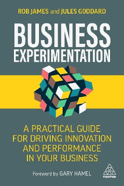 Business Experimentation Business Experimentation
