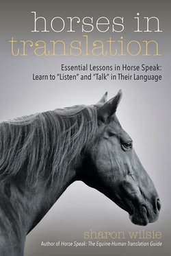 Horses in Translation Horses in Translation