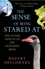 The Sense Of Being Stared At