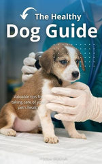 The Healthy Dog Guide