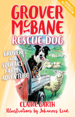 Grover McBane Rescue Dog