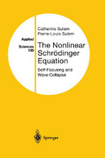 The Nonlinear Schroedinger Equation