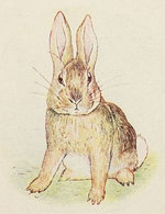 The Story of a Fierce Bad Rabbit